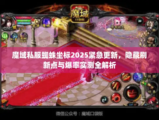 魔域私服蜘蛛坐标2025紧急更新，隐藏刷新点与爆率实测全解析