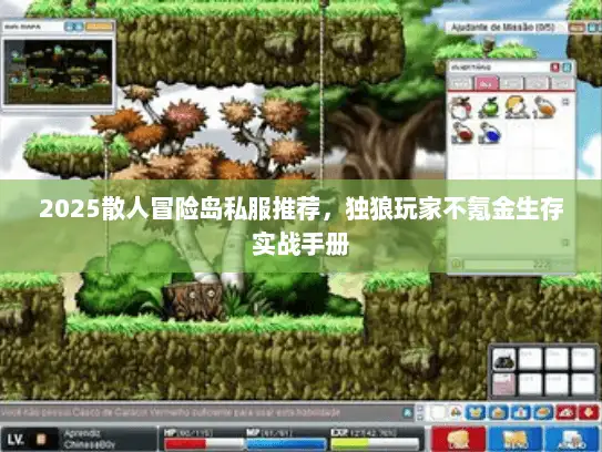 2025散人冒险岛私服推荐，独狼玩家不氪金生存实战手册