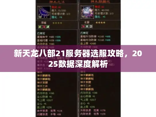 新天龙八部21服务器选服攻略,2025数据深度解析 新天龙八部21服务器选服攻略,2025数据深度解析