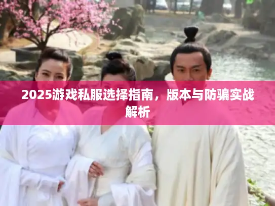 2025游戏私服选择指南，版本与防骗实战解析