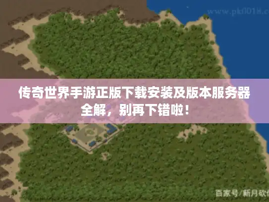 传奇世界手游正版下载安装及版本服务器全解，别再下错啦！