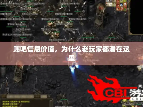 贴吧信息价值,为什么老玩家都潜在这里 贴吧信息价值,为什么老玩家都潜在这里