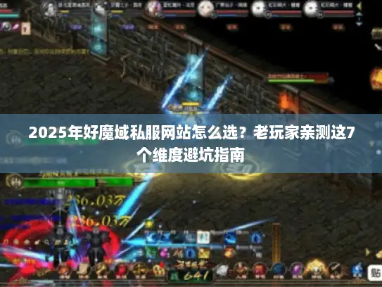 2025年好魔域私服网站怎么选？老玩家亲测这7个维度避坑指南
