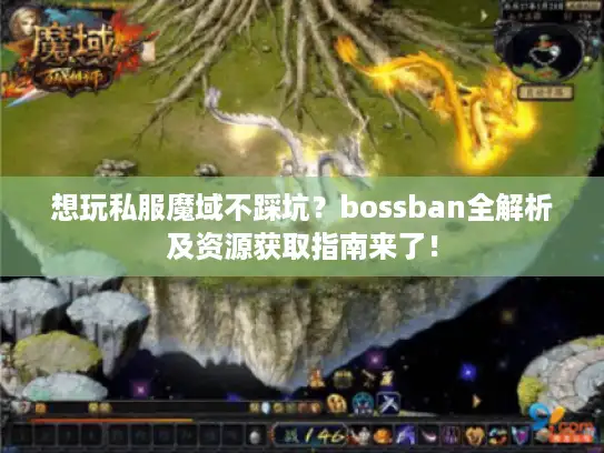 想玩私服魔域不踩坑？bossban全解析及资源获取指南来了！