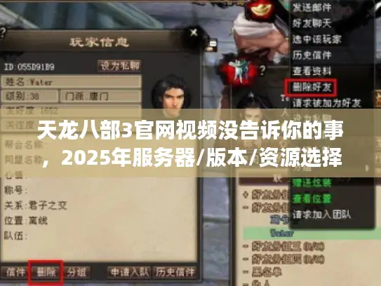 天龙八部3官网视频没告诉你的事，2025年服务器/版本/资源选择实战全解析