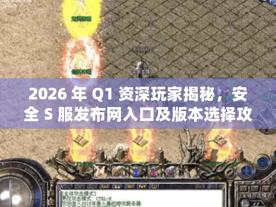 2026 年 Q1 资深玩家揭秘，安全 S 服发布网入口及版本选择攻略！