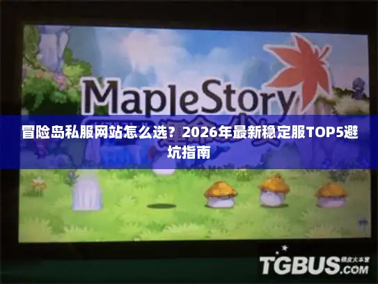 冒险岛私服网站怎么选？2026年最新稳定服TOP5避坑指南