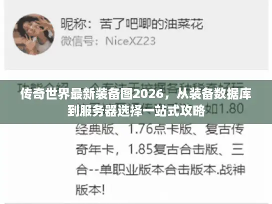 传奇世界最新装备图2026，从装备数据库到服务器选择一站式攻略