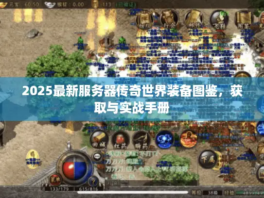 2025最新服务器传奇世界装备图鉴，获取与实战手册