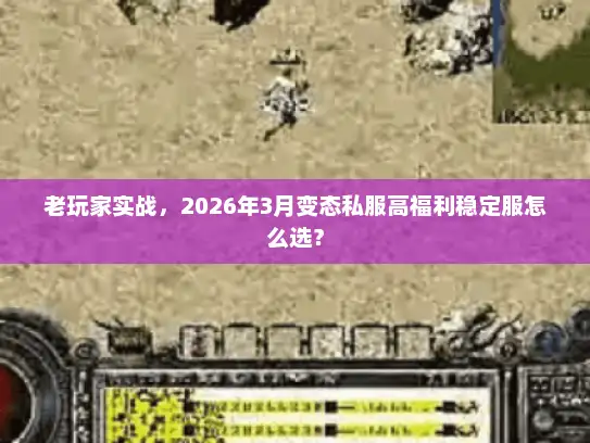 老玩家实战，2026年3月变态私服高福利稳定服怎么选？