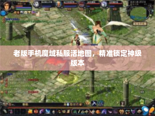 老版手机魔域私服活地图，精准锁定神级版本