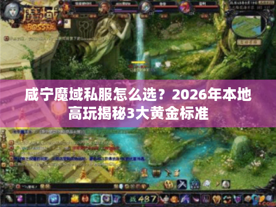咸宁魔域私服怎么选？2026年本地高玩揭秘3大黄金标准