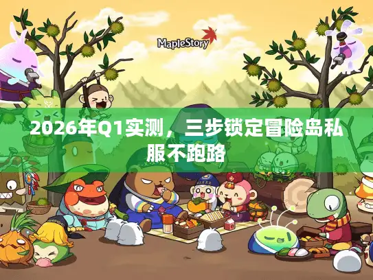 2026年Q1实测，三步锁定冒险岛私服不跑路