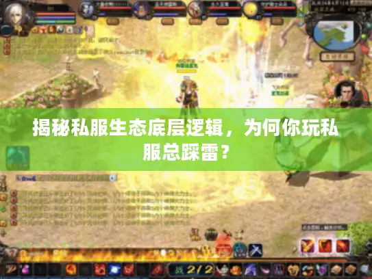 揭秘私服生态底层逻辑，为何你玩私服总踩雷？