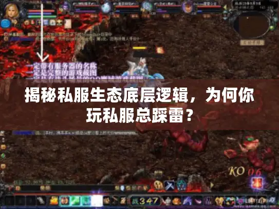 揭秘私服生态底层逻辑，为何你玩私服总踩雷？
