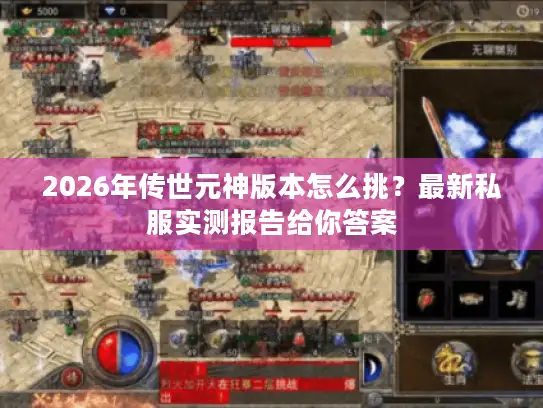 2026年传世元神版本怎么挑？最新私服实测报告给你答案