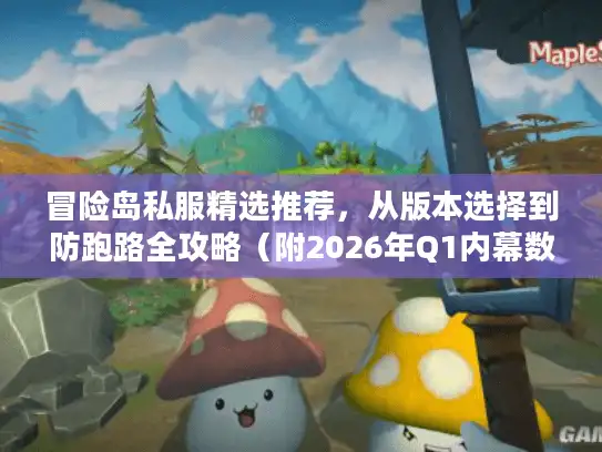 冒险岛私服精选推荐，从版本选择到防跑路全攻略（附2026年Q1内幕数据）