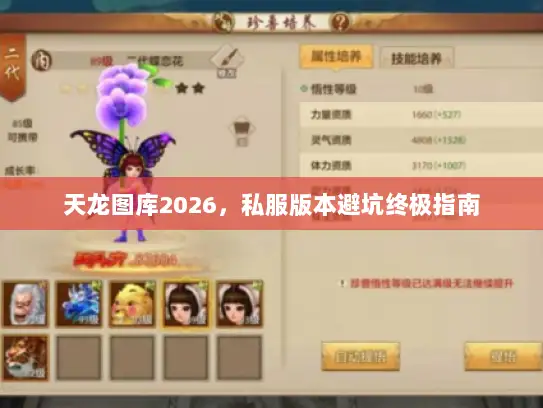 天龙图库2026,私服版本避坑终极指南 天龙图库2026,私服版本避坑终极指南
