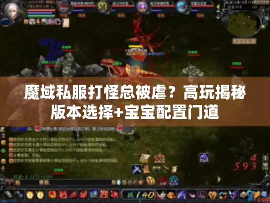 魔域私服打怪总被虐？高玩揭秘版本选择+宝宝配置门道