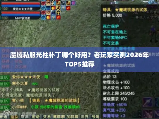 魔域私服光柱补丁哪个好用？老玩家实测2026年TOP5推荐
