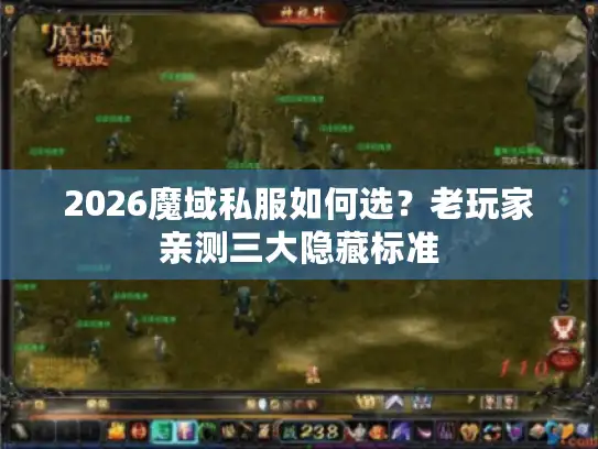2026魔域私服如何选？老玩家亲测三大隐藏标准