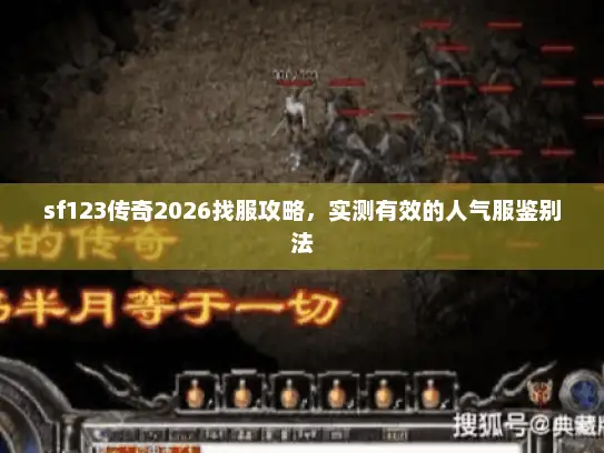 sf123传奇2026找服攻略,实测有效的人气服鉴别法 sf123传奇2026找服攻略,实测有效的人气服鉴别法