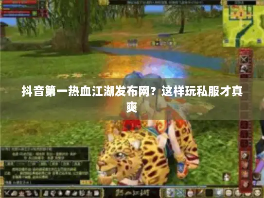抖音第一热血江湖发布网？这样玩私服才真爽