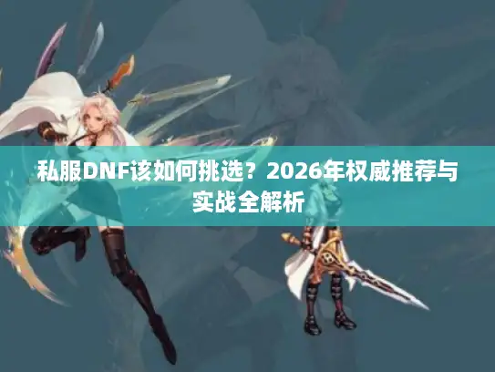 私服DNF该如何挑选？2026年权威推荐与实战全解析