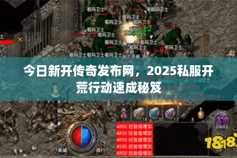 今日新开传奇发布网，2025私服开荒行动速成秘笈