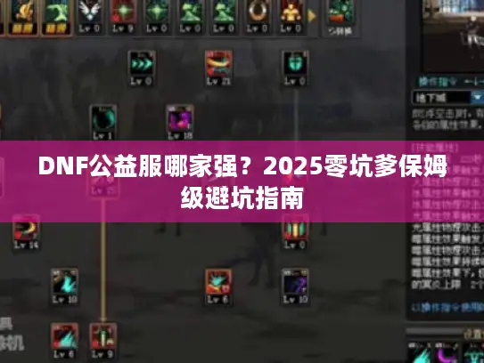 DNF公益服哪家强？2025零坑爹保姆级避坑指南