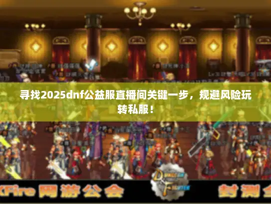 寻找2025dnf公益服直播间关键一步，规避风险玩转私服！