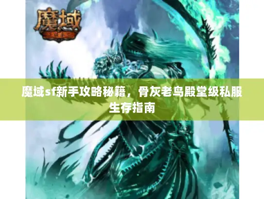 魔域sf新手攻略秘籍，骨灰老鸟殿堂级私服生存指南
