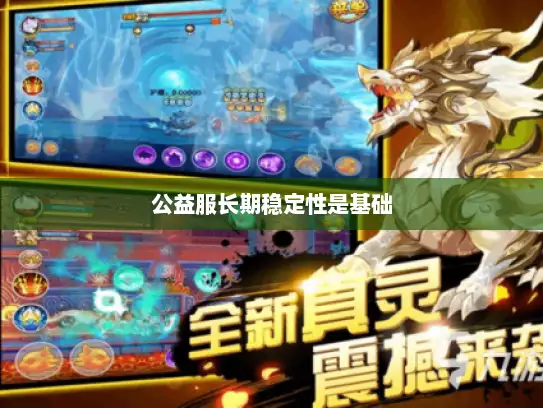 公益服长期稳定性是基础 公益服长期稳定性是基础