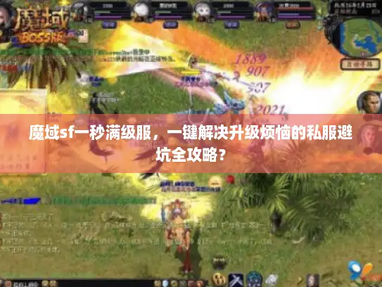 魔域sf一秒满级服，一键解决升级烦恼的私服避坑全攻略？