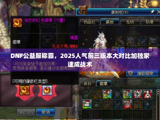 DNF公益服称霸，2025人气前三版本大对比加独家速成战术