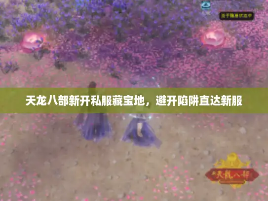 天龙八部新开私服藏宝地，避开陷阱直达新服