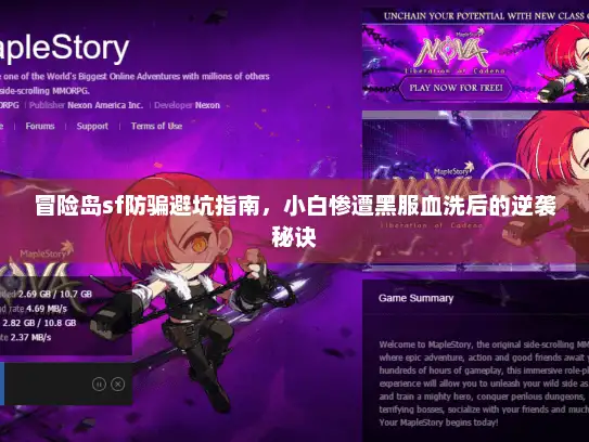 冒险岛sf防骗避坑指南，小白惨遭黑服血洗后的逆袭秘诀