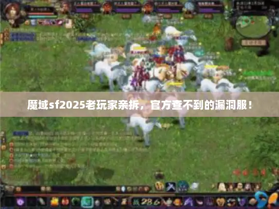 魔域sf2025老玩家亲拆，官方查不到的漏洞服！