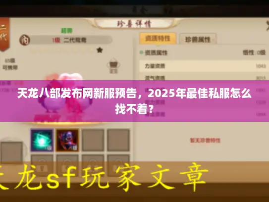 天龙八部发布网新服预告，2025年最佳私服怎么找不着？
