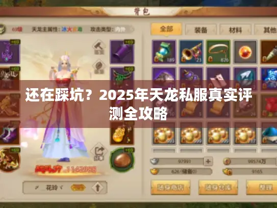 还在踩坑？2025年天龙私服真实评测全攻略