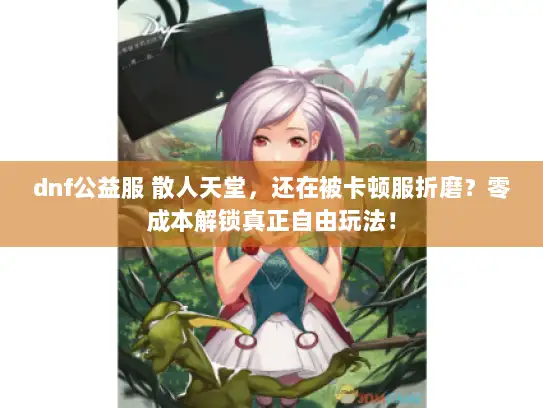 dnf公益服 散人天堂，还在被卡顿服折磨？零成本解锁真正自由玩法！