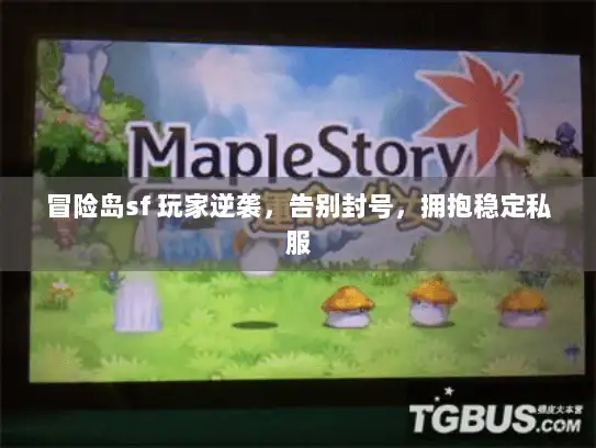 冒险岛sf 玩家逆袭，告别封号，拥抱稳定私服