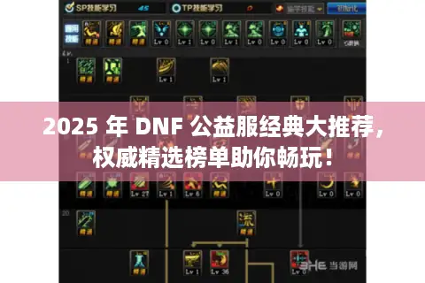 2025 年 DNF 公益服经典大推荐，权威精选榜单助你畅玩！