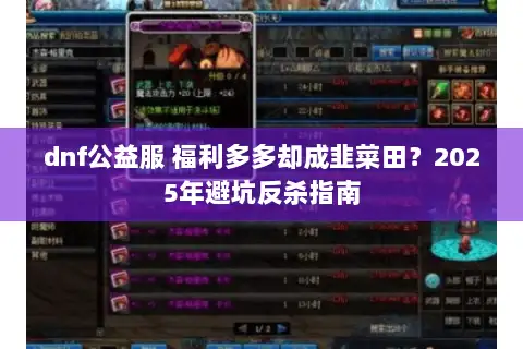 dnf公益服 福利多多却成韭菜田？2025年避坑反杀指南