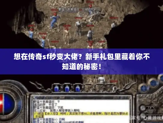 想在传奇sf秒变大佬？新手礼包里藏着你不知道的秘密！
