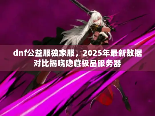 dnf公益服独家服，2025年最新数据对比揭晓隐藏极品服务器