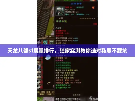 天龙八部sf质量排行，独家实测教你选对私服不踩坑
