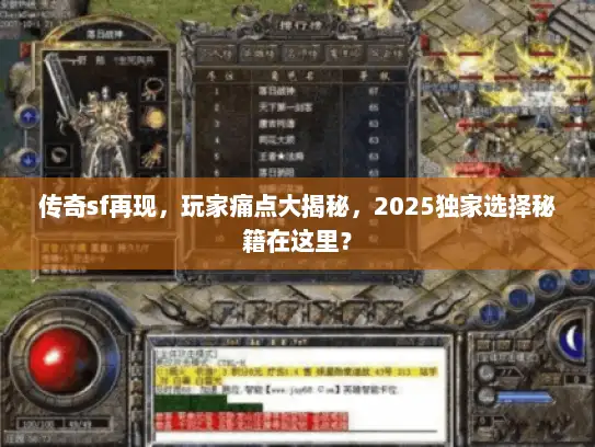 传奇sf再现，玩家痛点大揭秘，2025独家选择秘籍在这里？