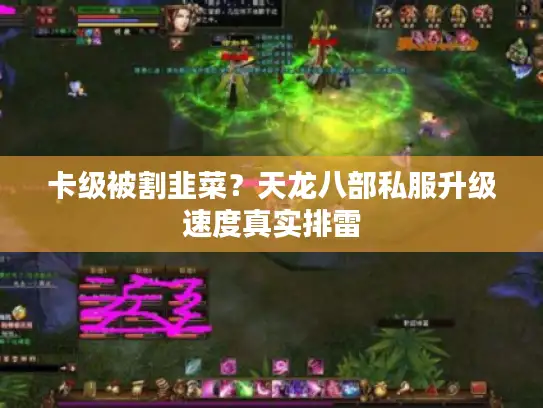 卡级被割韭菜？天龙八部私服升级速度真实排雷