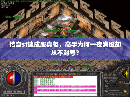 传奇sf速成服真相，高手为何一夜满级却从不封号？